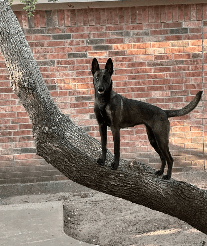 Screenshot 2025-10-24 202843