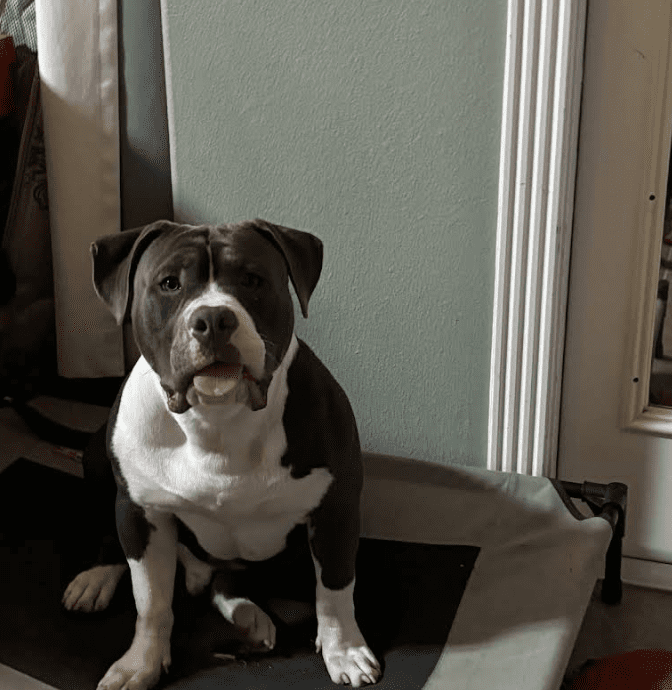 Screenshot 2025-10-24 202912