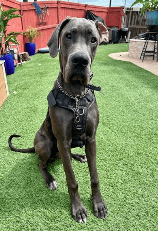 Screenshot 2025-10-24 203120