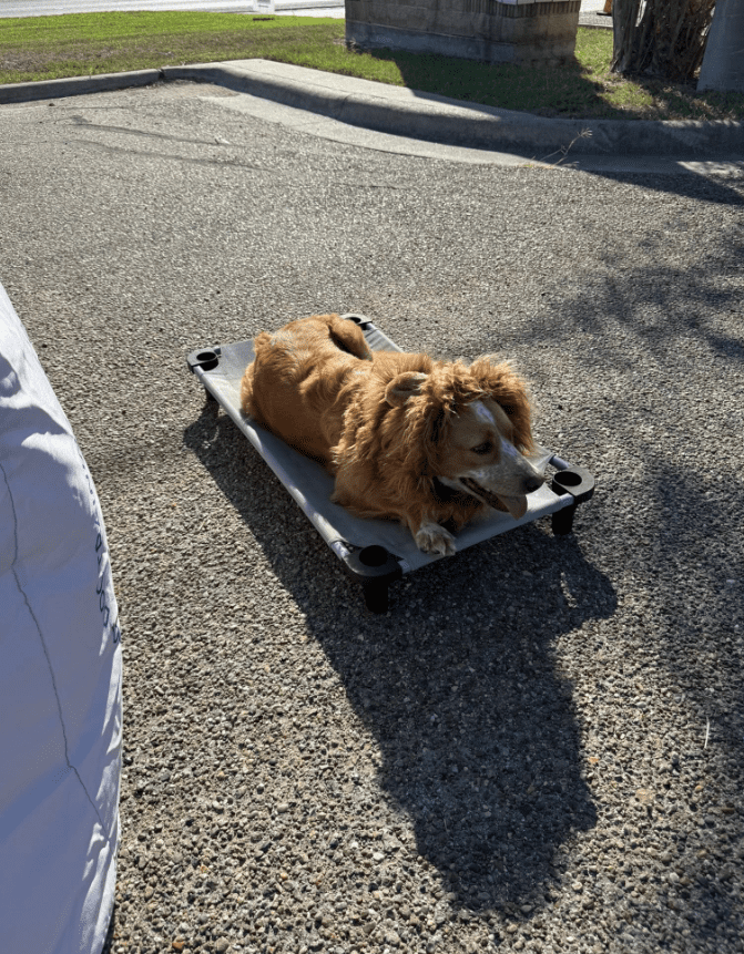 Screenshot 2025-10-24 203203