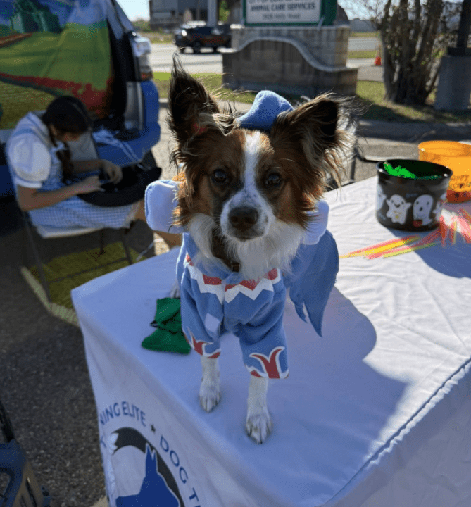 Screenshot 2025-10-24 203213