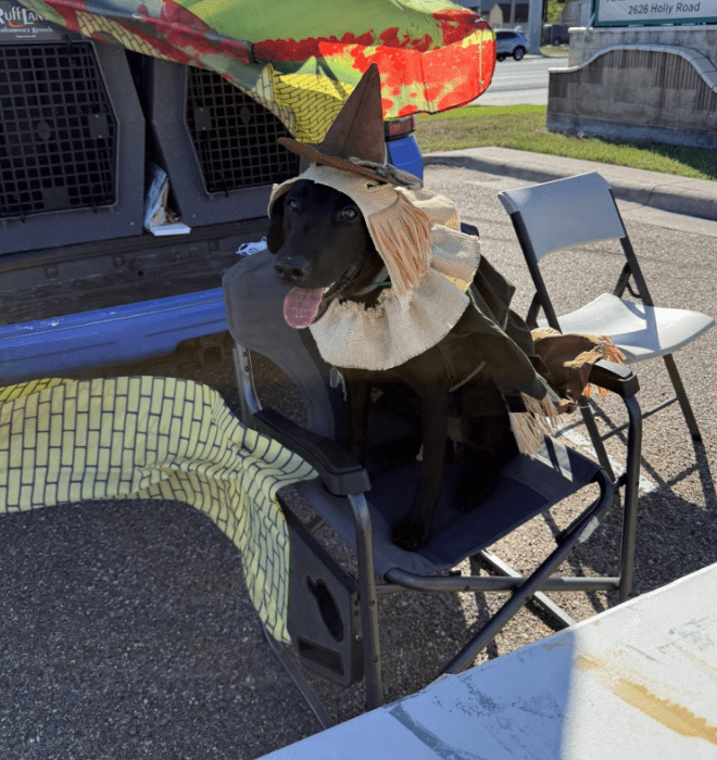 Screenshot 2025-10-24 203219