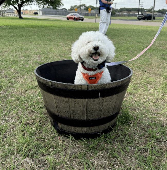 Screenshot 2025-10-24 203255